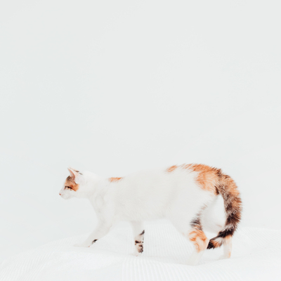Lumi 