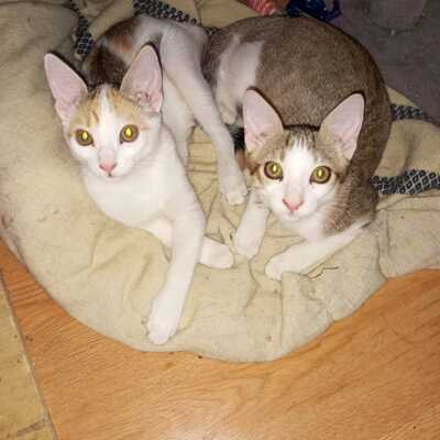 Lizzy & Tinny 