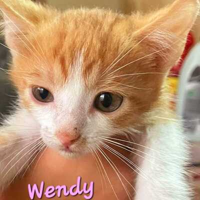 Wendy