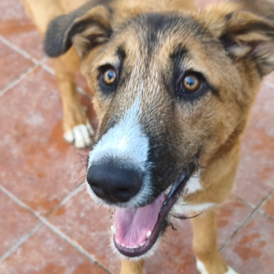 Martín