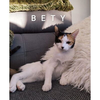 Bety
