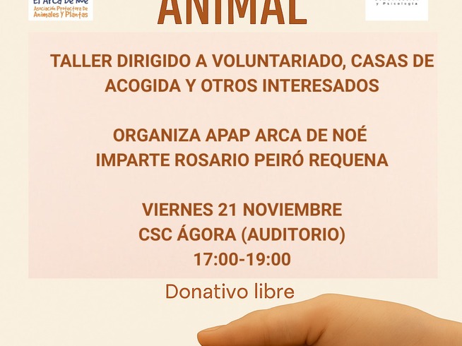 TALLER: ACOMPAÑANDO EL DUELO